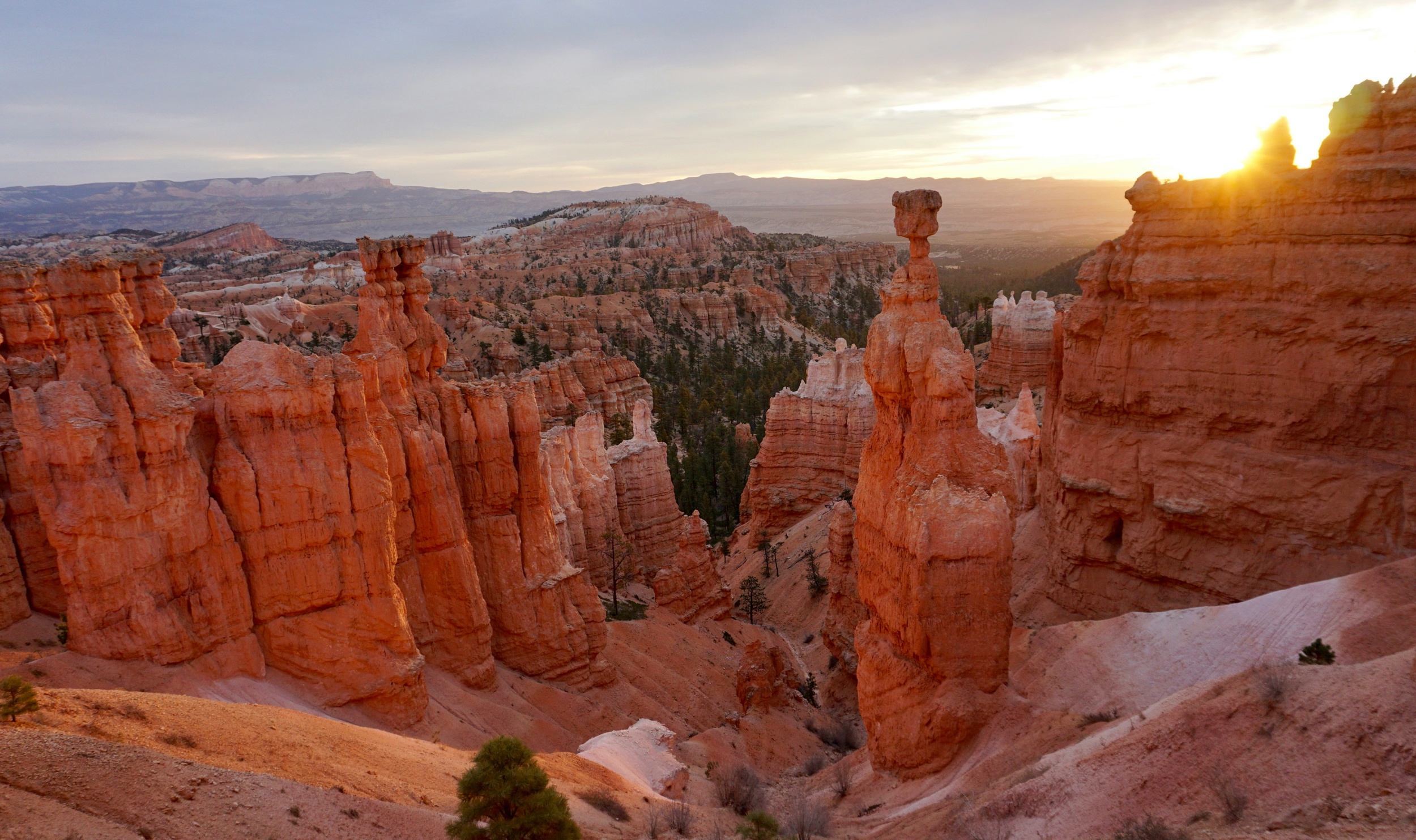 A look down an epic canyon at sunset perfect for a magical Bryce Canyon National Park Elopement