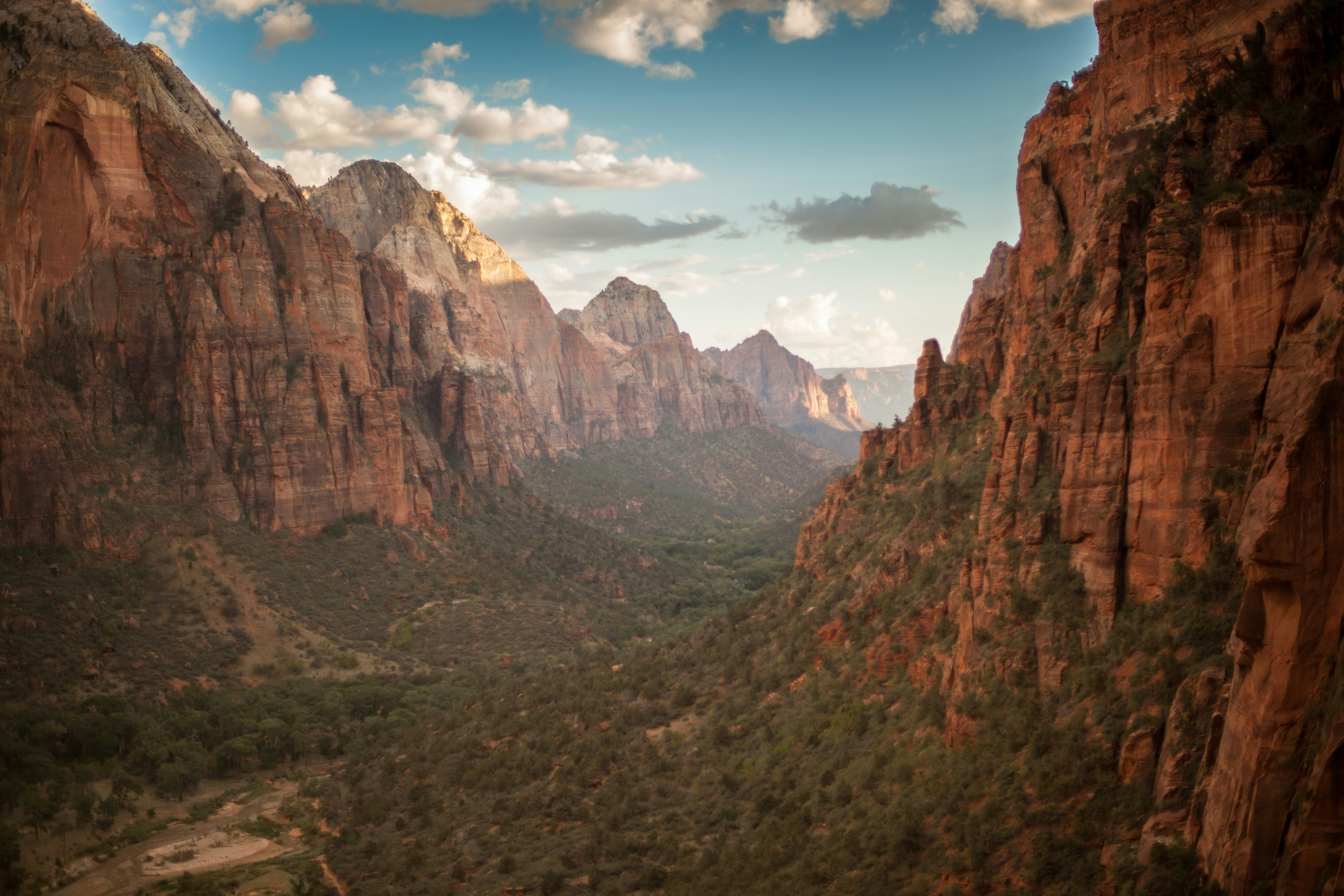 A canyon at sunrise in Zion with a trail running through it perfect for a magical zion national park elopement