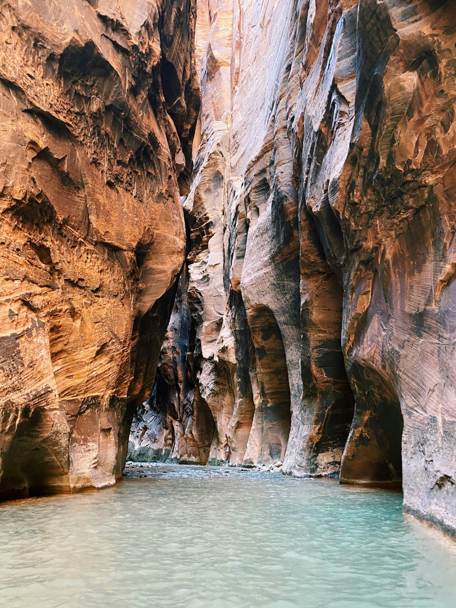 A look up a canyon with a clear river flowing during a zion national park elopement