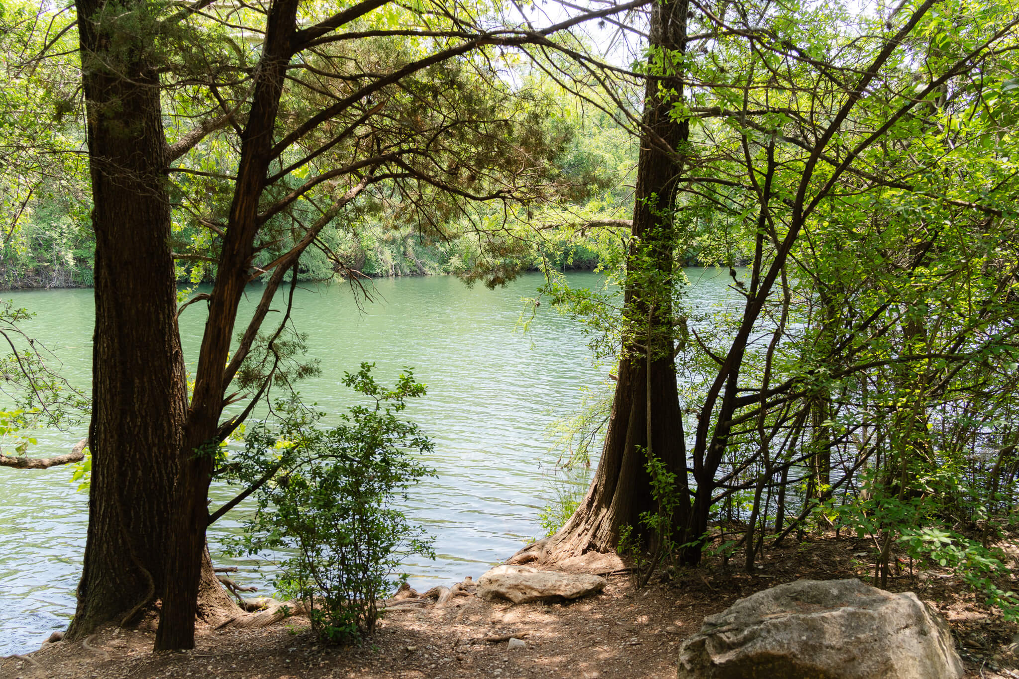 lush elopement option in Austin
