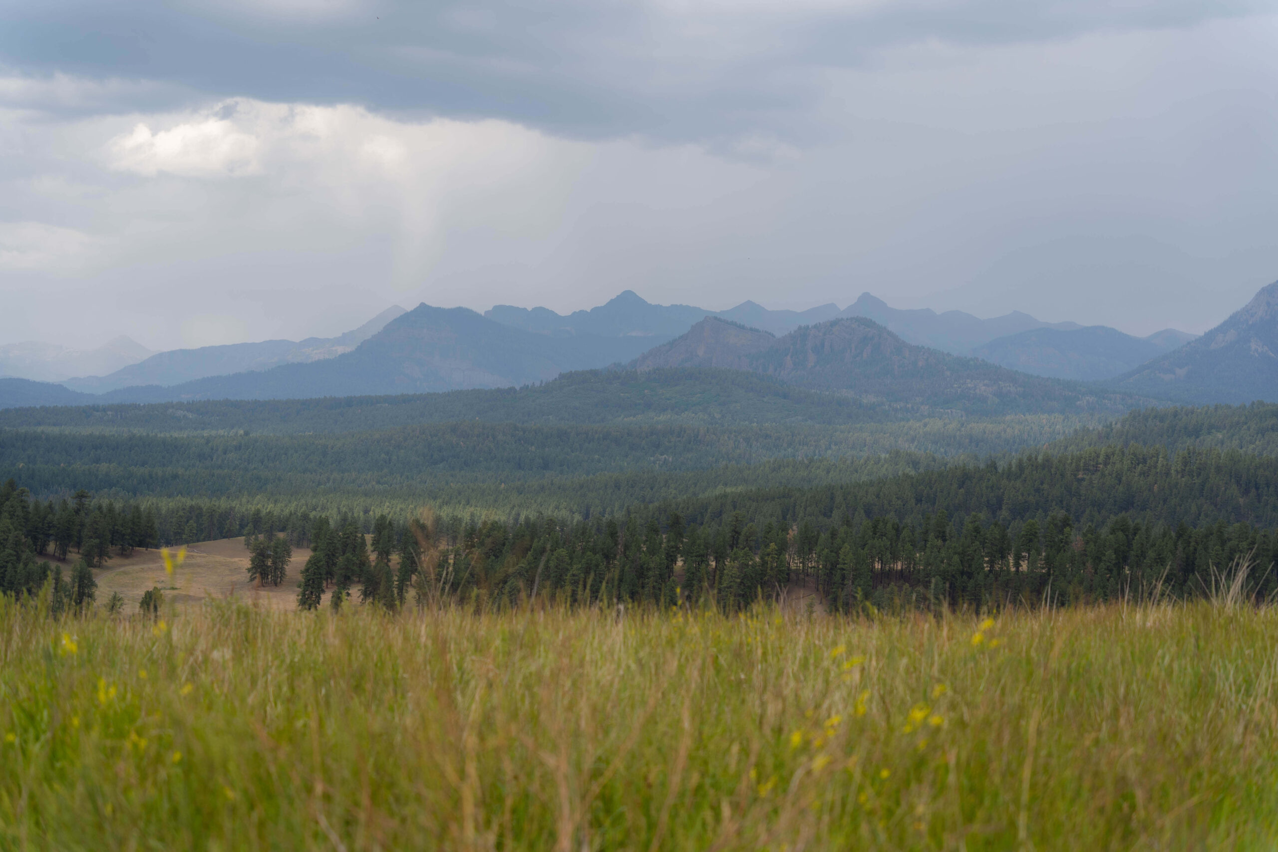 san juan mountains elopement