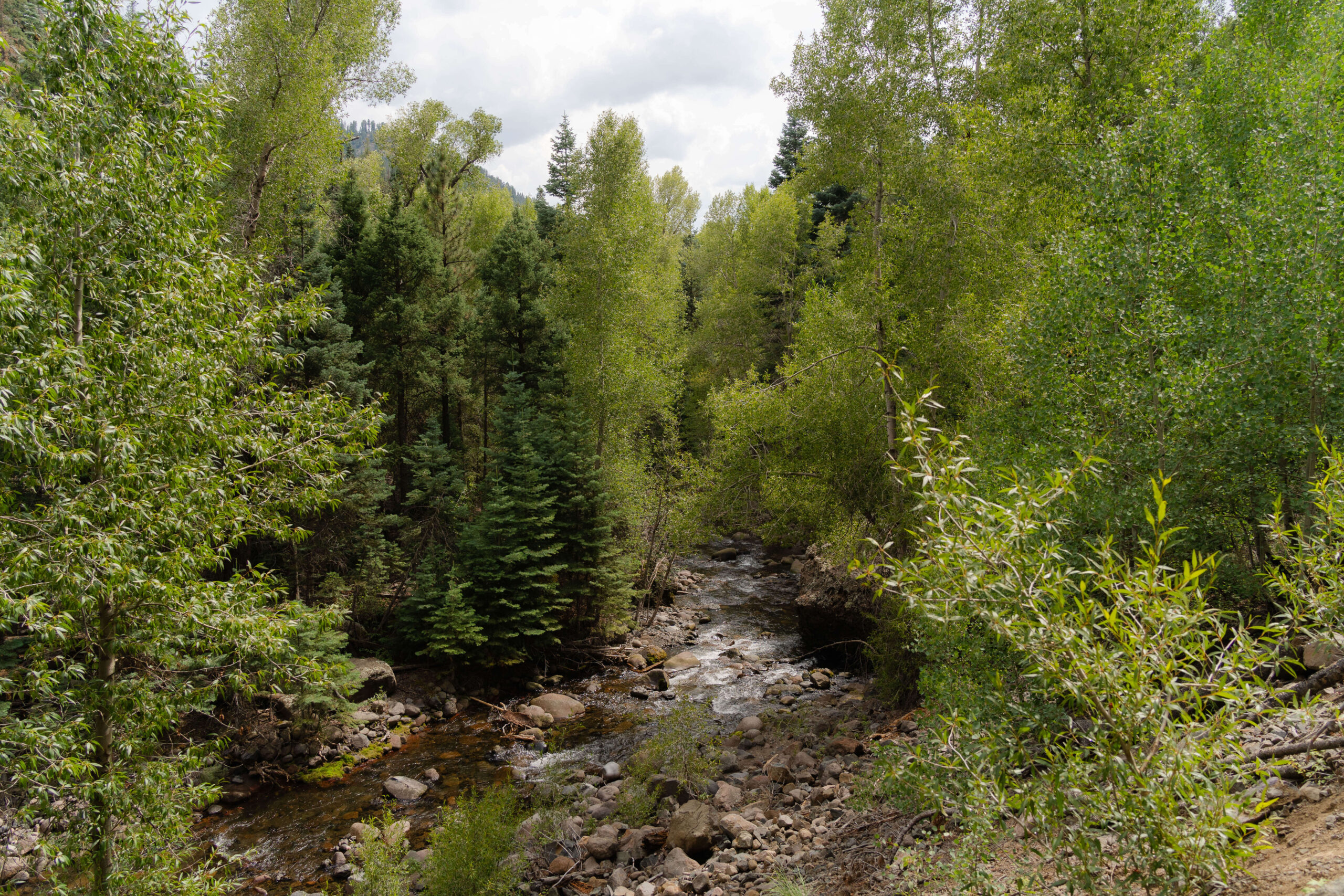 spring river through the mountains