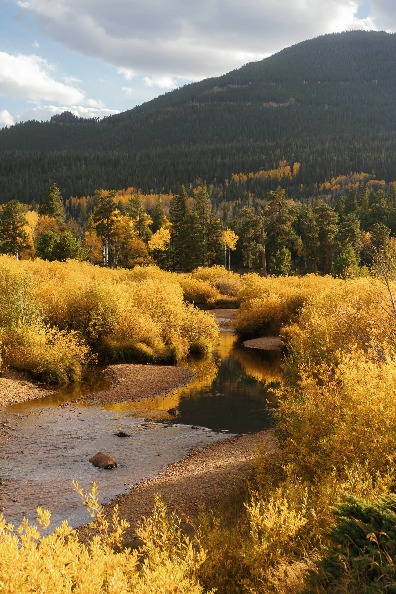fall colors a long a mountain stream