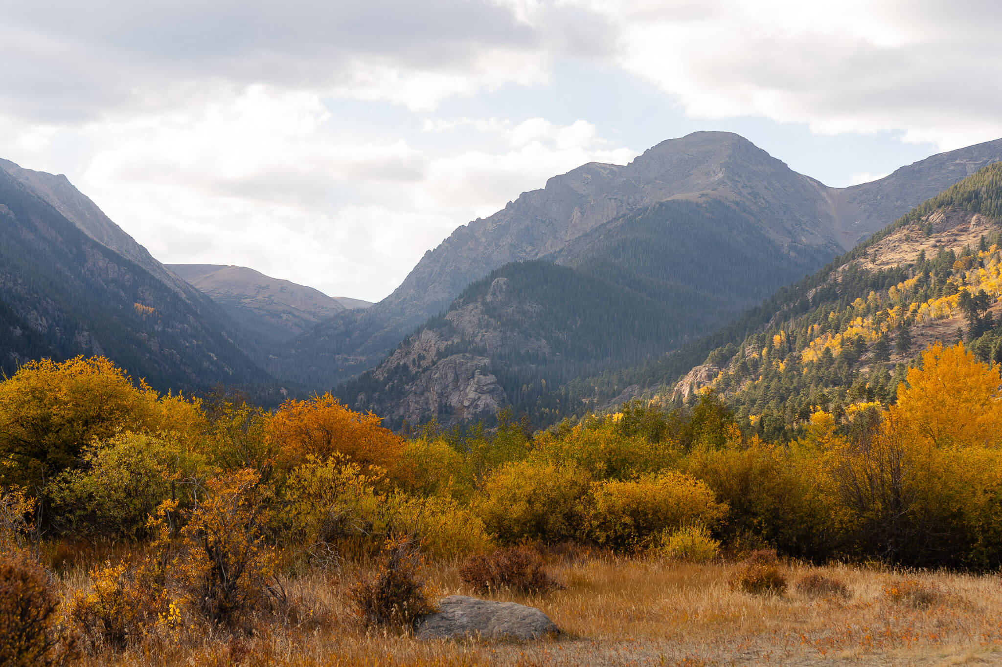 fall colors in RMNP one of the best places to elope in the US in the fall