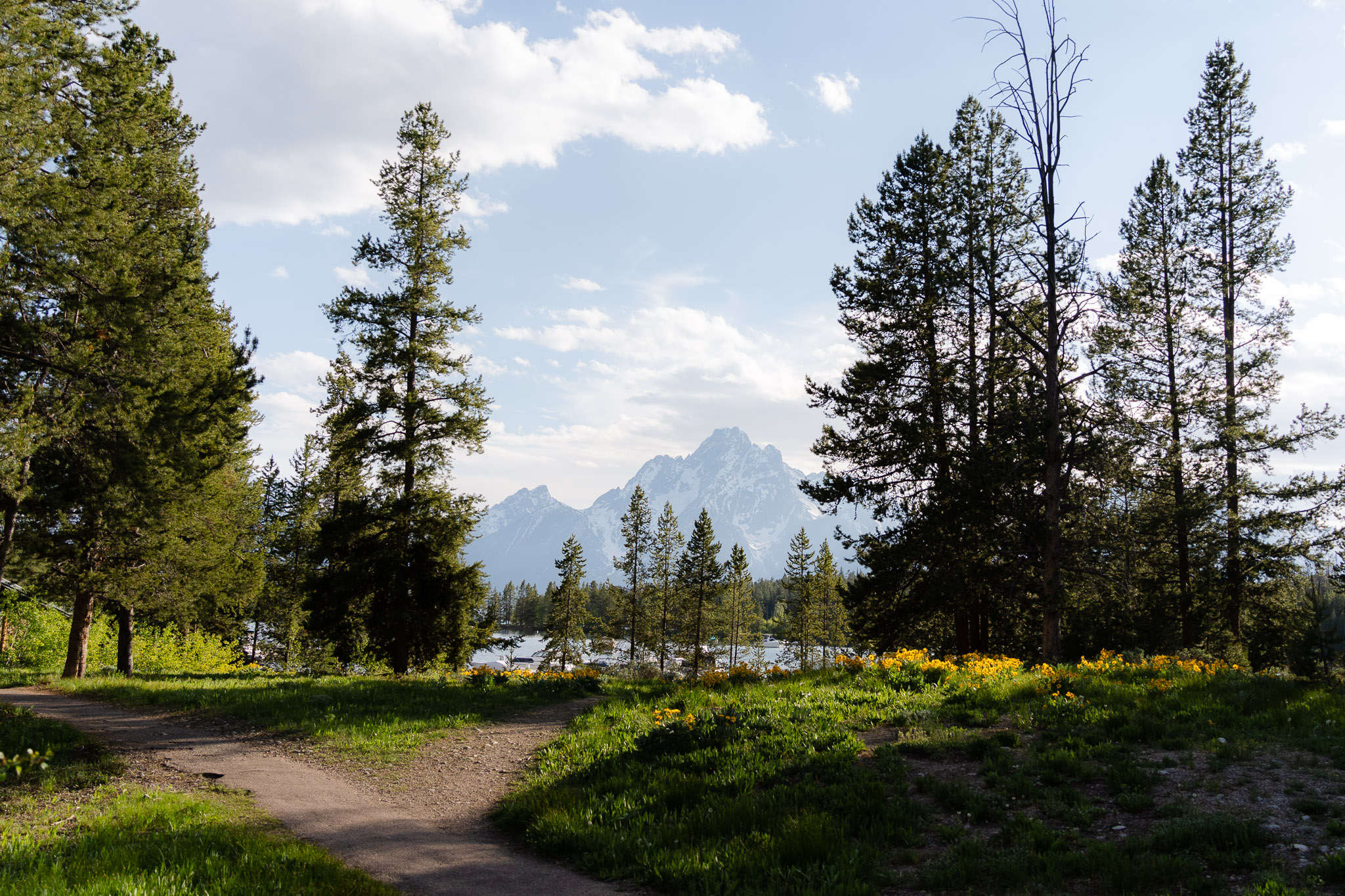 Colter bay GTNP