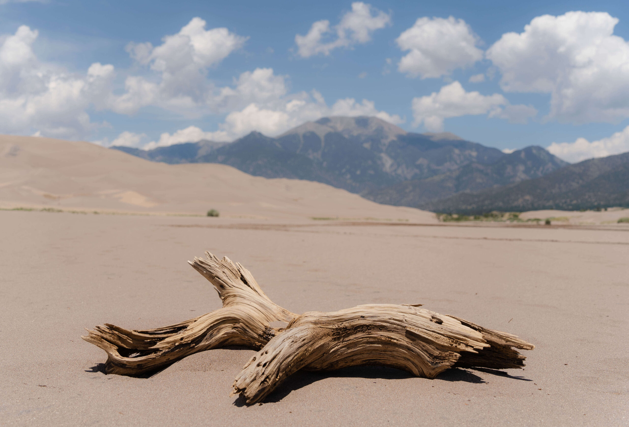 the sand dunes are a strikingly unique destination for an elopement