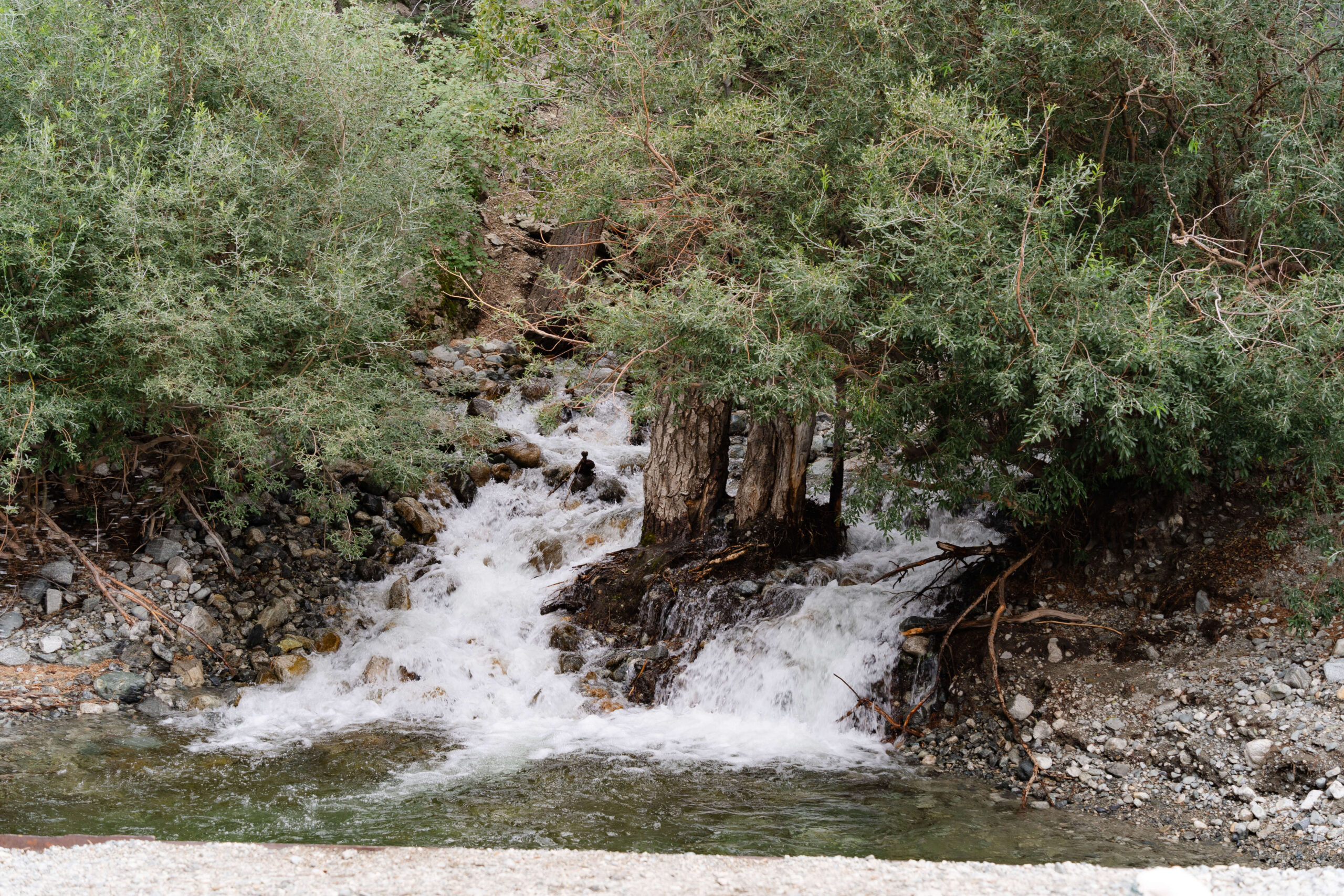 waterfalls nearby are a great addition to your Great Sand Dunes National Park Elopement day